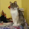 Отзыв от Инесса Винокурова